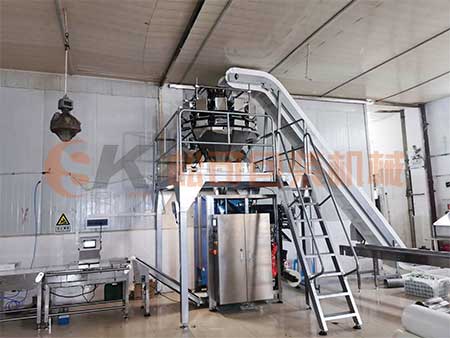 袋中袋包装机客户现场展示图
